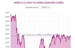 Phiên 17/2/2025: VN-Index giảm hơn 3 điểm