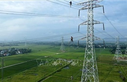 Chuẩn bị khởi công Dự án đường dây 500kV Lào Cai - Vĩnh Yên