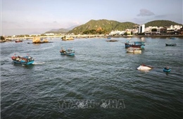 Tìm thấy thi thể ngư dân cuối cùng trong vụ tàu cá bị sóng lớn đánh chìm ở Nha Trang