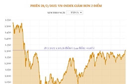 Phiên 28/2/2025: VN-Index giảm hơn 2 điểm