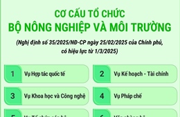 Cơ cấu tổ chức Bộ Nông nghiệp và Môi trường