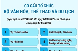 Cơ cấu tổ chức của Bộ Văn hóa, Thể thao và Du lịch