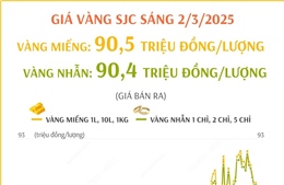 Giá vàng SJC sáng 2/3 niêm yết ở mức 88,5 - 90,5 triệu đồng/lượng