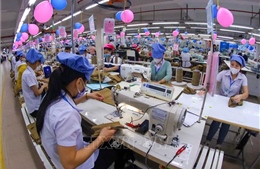 Doanh nghiệp dệt may chủ động kịch bản ứng phó trước rủi ro thương mại