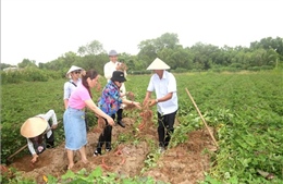 Phát triển du lịch nông thôn gắn với bản sắc văn hóa, bền vững