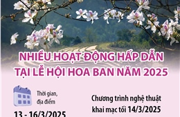 Nhiều hoạt động hấp dẫn tại Lễ hội Hoa Ban năm 2025