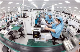 Từ ngày 5/5, Bộ Công Thương là đầu mối cấp C/O cho doanh nghiệp
