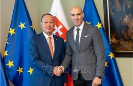 Việt Nam và Slovakia thúc đẩy hợp tác đấu tranh chống tội phạm