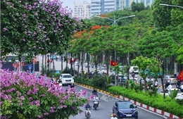 Ảnh hưởng không khí lạnh: Bắc Bộ, Bắc Trung Bộ trời chuyển mát, vùng núi Bắc Bộ có nơi trời lạnh