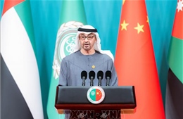Lãnh đạo UAE và Syria điện đàm thảo luận quan hệ song phương