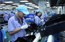 Thủ tướng chỉ đạo chấn chỉnh kỷ cương, tạo môi trường kinh doanh thuận lợi cho doanh nghiệp