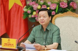 Minh bạch thông tin để thị trường bất động sản phát triển lành mạnh