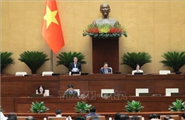 Quốc hội thảo luận về dự án Luật Năng lượng nguyên tử (sửa đổi)