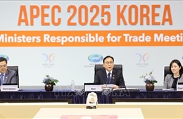 APEC ra tuyên bố chung nhấn mạnh tầm quan trọng của WTO và kêu gọi hợp tác