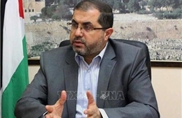 Hamas &#39;sẵn sàng hợp tác&#39; nếu Mỹ gây sức ép với Israel chấm dứt xung đột