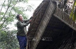 Chuyện những người lợp tranh ở Khu di tích quốc gia đặc biệt Kim Liên