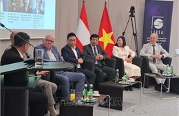 Việt Nam - Áo thúc đẩy hợp tác trong lĩnh vực công nghệ cao