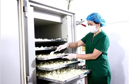 Gia tăng nội lực và giá trị cho sản phẩm OCOP
