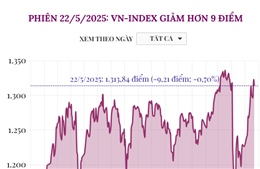 Phiên 22/5/2025: VN-Index giảm hơn 9 điểm