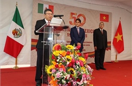 50 năm quan hệ Việt Nam - Mexico: Quyết tâm nâng cấp lên tầm cao mới