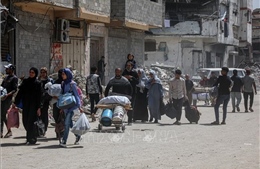 Ai Cập ca ngợi sự thay đổi lập trường toàn cầu hướng tới công nhận nhà nước Palestine