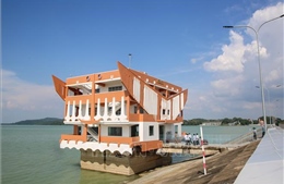 Điểm đến &#39;vàng&#39; nông nghiệp công nghệ cao từ hồ Dầu Tiếng 