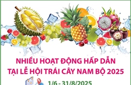 Nhiều hoạt động hấp dẫn tại Lễ hội Trái cây Nam Bộ 2025
