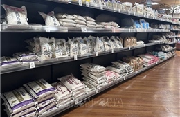 Chuỗi cửa hàng tiện lợi Nhật Bản bắt đầu bán gạo dự trữ của Chính phủ