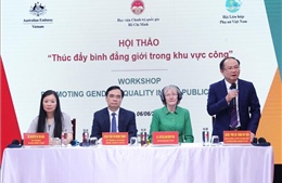 Thúc đẩy bình đẳng giới trong khu vực công