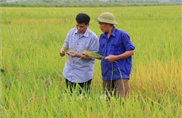 Bắc Ninh đặt mục tiêu trên 40% tỷ trọng nông nghiệp ứng dụng công nghệ cao