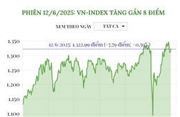 Phiên 12/6/2025: VN-Index tăng gần 8 điểm