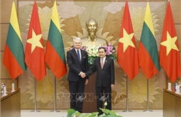 Chủ tịch Quốc hội Trần Thanh Mẫn hội kiến Tổng thống Litva