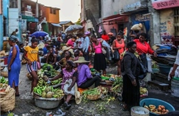 1,3 triệu người Haiti phải rời bỏ nhà cửa vì bạo lực