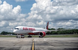 Chưa phát hiện bom trên máy bay của Air India hạ cánh khẩn cấp tại Thái Lan