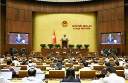 Cần giải pháp tổng thể ngăn chặn bạo lực học đường