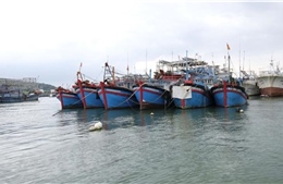 Khắc phục &#39;thẻ vàng&#39; IUU: Tuyên truyền ngư dân tuân thủ, không xâm phạm vùng biển nước ngoài