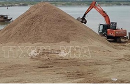 Quảng Nam: Giá trúng thầu mỏ cát chênh lệch rất lớn với giá khởi điểm