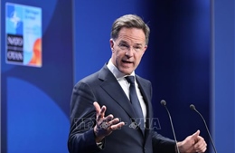 NATO, EU cụ thể hóa các cam kết hợp tác quốc phòng