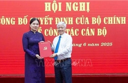 Đồng chí Hà Thị Nga tham gia Ban Chấp hành, Ban Thường vụ Đảng ủy MTTQ, các đoàn thể Trung ương