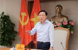 Rà soát, hoàn thiện hệ thống tiêu chuẩn, quy chuẩn về đường sắt tốc độ cao