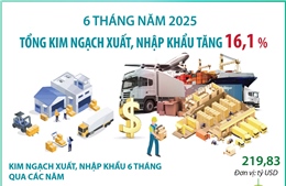 6 tháng năm 2025: Tổng kim ngạch xuất, nhập khẩu hàng hóa tăng 16,1%