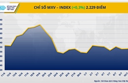 Giá đồng COMEX tăng vọt, thị trường nông sản chìm sâu trong sắc đỏ