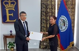 Việt Nam - Belize tăng cường ủng hộ lẫn nhau trên các diễn đàn đa phương