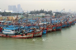 Đà Nẵng: Chủ động triển khai các biện pháp ứng phó với bão số 3