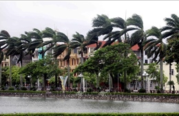 Bão số 3: Hưng Yên có mưa to, gió lớn