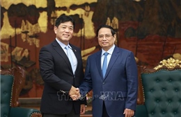 Thủ tướng đề nghị Tập đoàn Sumitomo đầu tư các dự án hạ tầng quy mô lớn tại Việt Nam