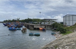 Bất cập cảng cá tại cửa biển Sa Cần