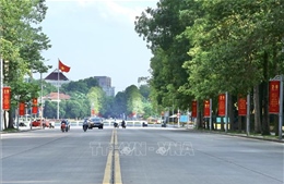 Hà Nội: Chặt hạ, dịch chuyển 24 cây xanh phục vụ thi công mở rộng đường Hùng Vương kéo dài