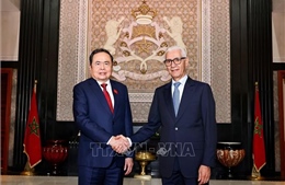 Chủ tịch Quốc hội Trần Thanh Mẫn hội đàm với Chủ tịch Hạ viện Maroc