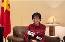 30 năm Việt Nam gia nhập ASEAN: Hành trình từ tham gia đến kiến tạo